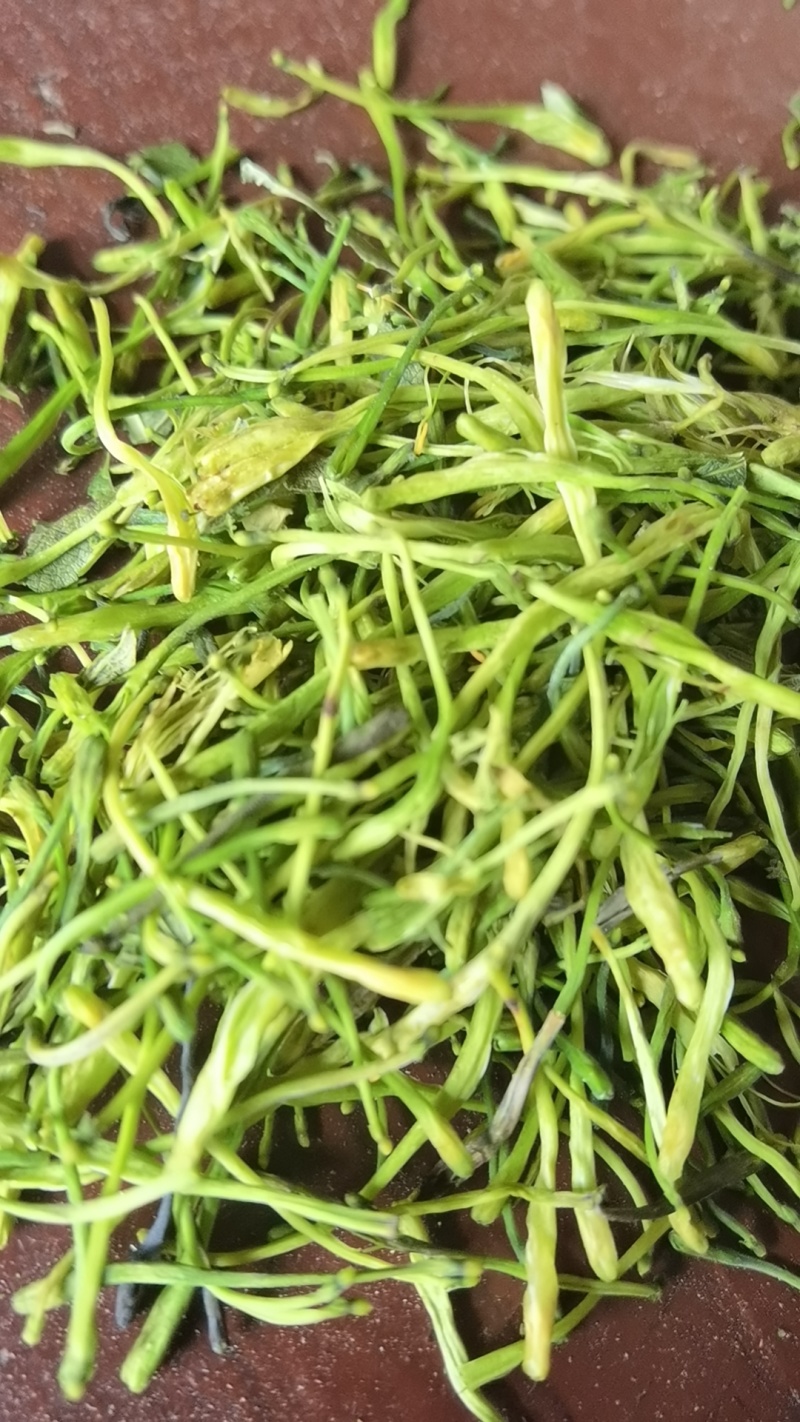 新鲜上市金银花诚信经营量大从优价格优惠欢迎采购