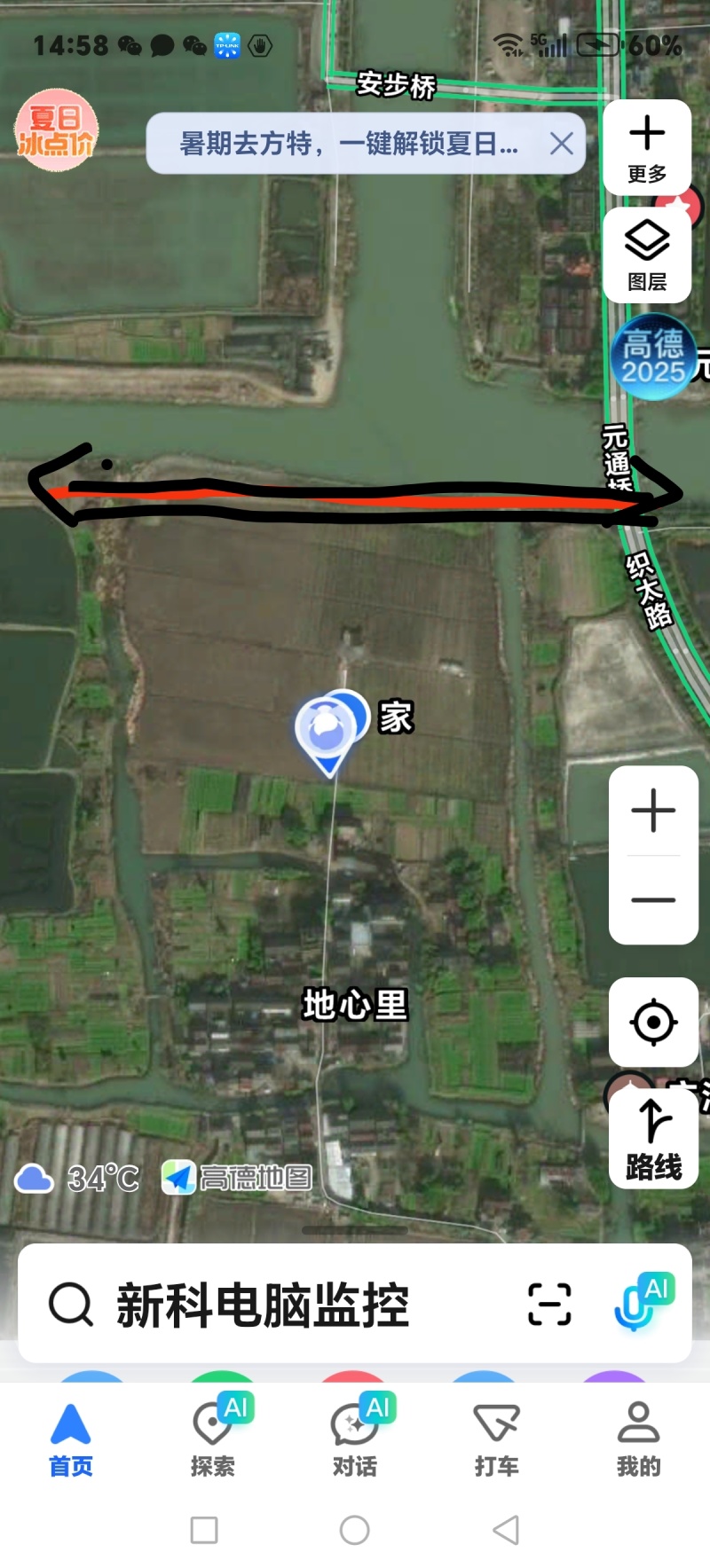 果园出租，桃园