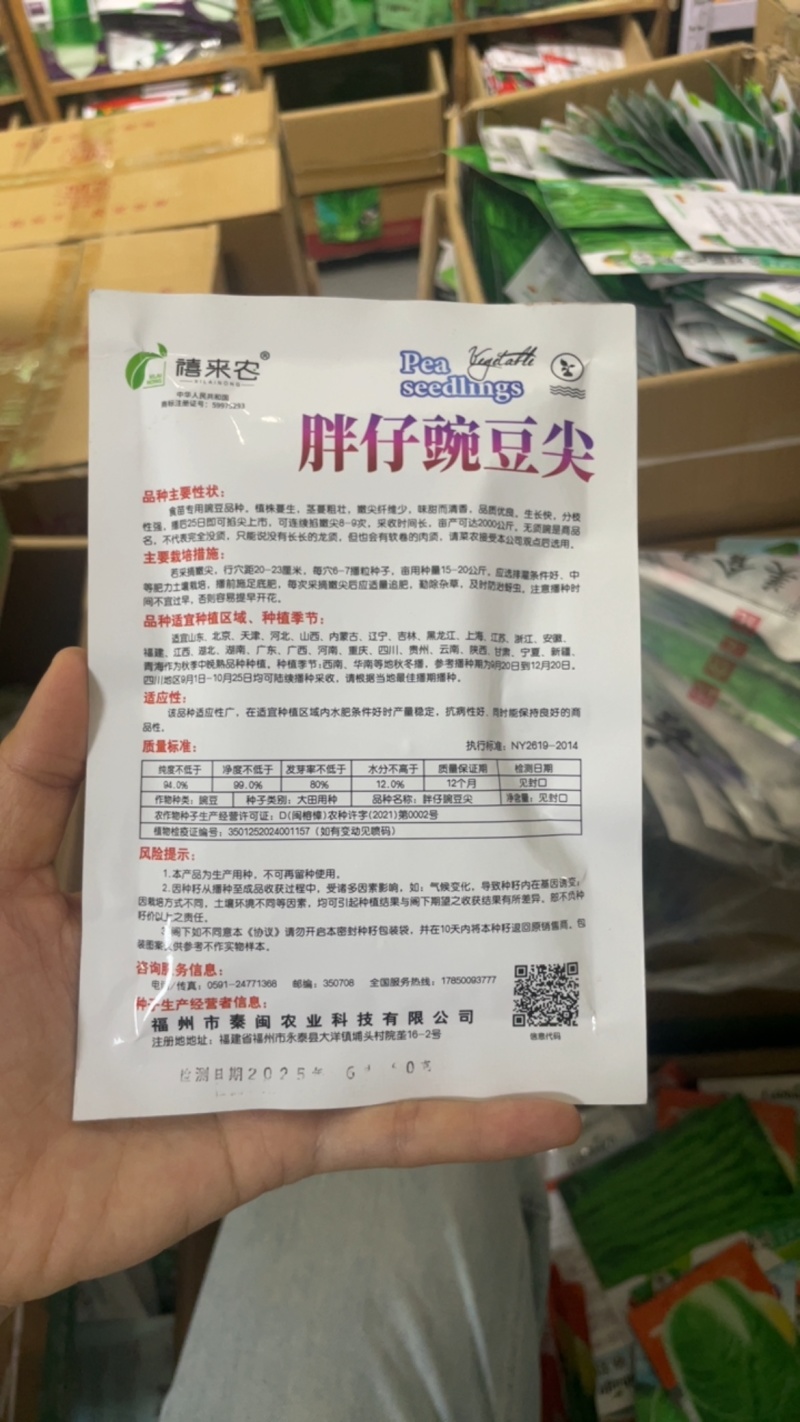 胖仔豌豆尖种子专吃苗味甜而清香茎蔓粗田园蔬菜种子