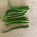 四川脱帽二荆条