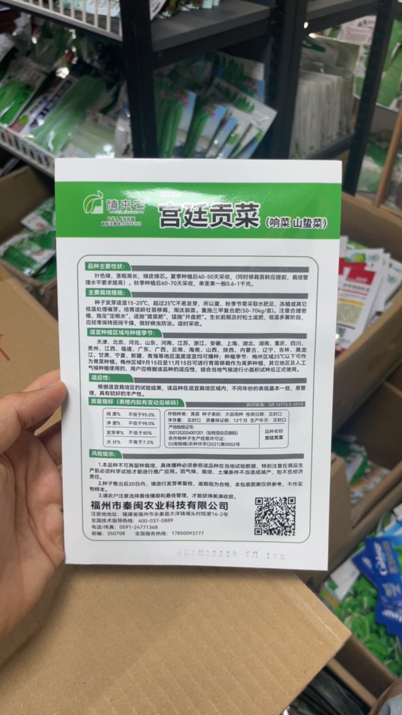 贡菜种子响菜山哲菜种子耐热抗寒苔干菜莴笋种子
