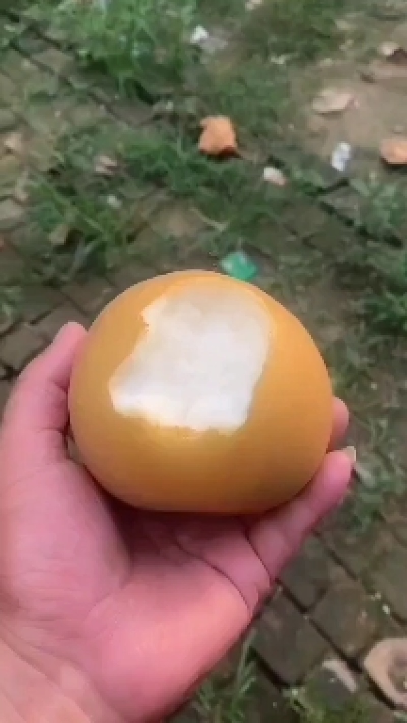 秋月梨