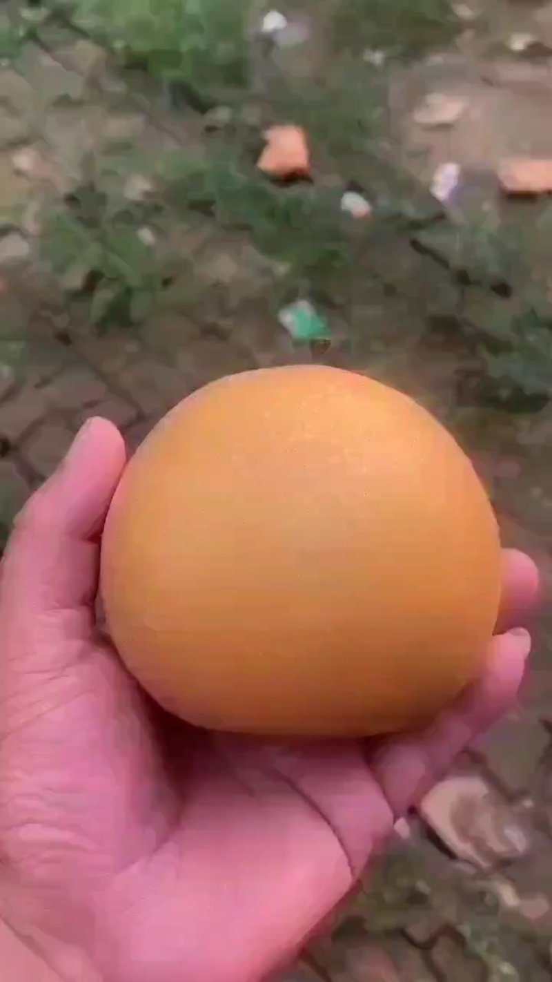 秋月梨