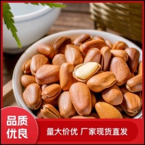 净重松子大颗粒500g东北特产松子仁松子批发含罐松子开口