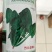 菠菜种子春秋菠菜种子叶片宽大肥厚耐寒耐热菠菜种子