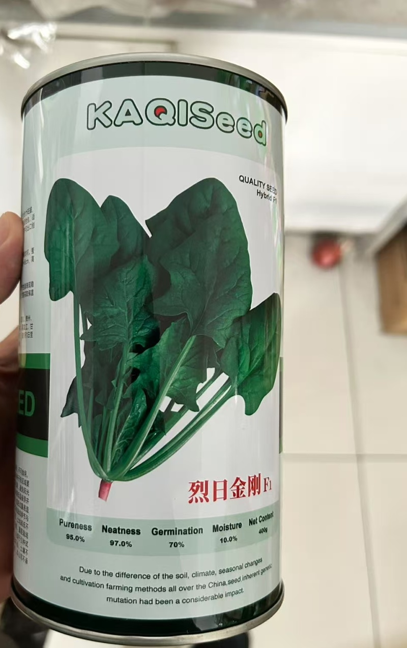 菠菜种子春秋菠菜种子叶片宽大肥厚耐寒耐热菠菜种子