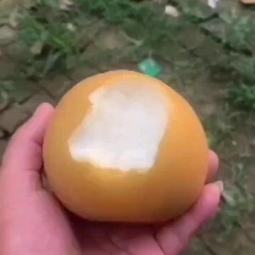 秋月梨