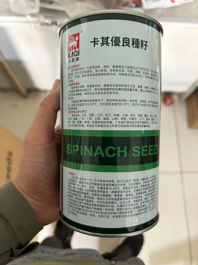菠菜种子春秋菠菜种子叶片宽大肥厚耐寒耐热菠菜种子