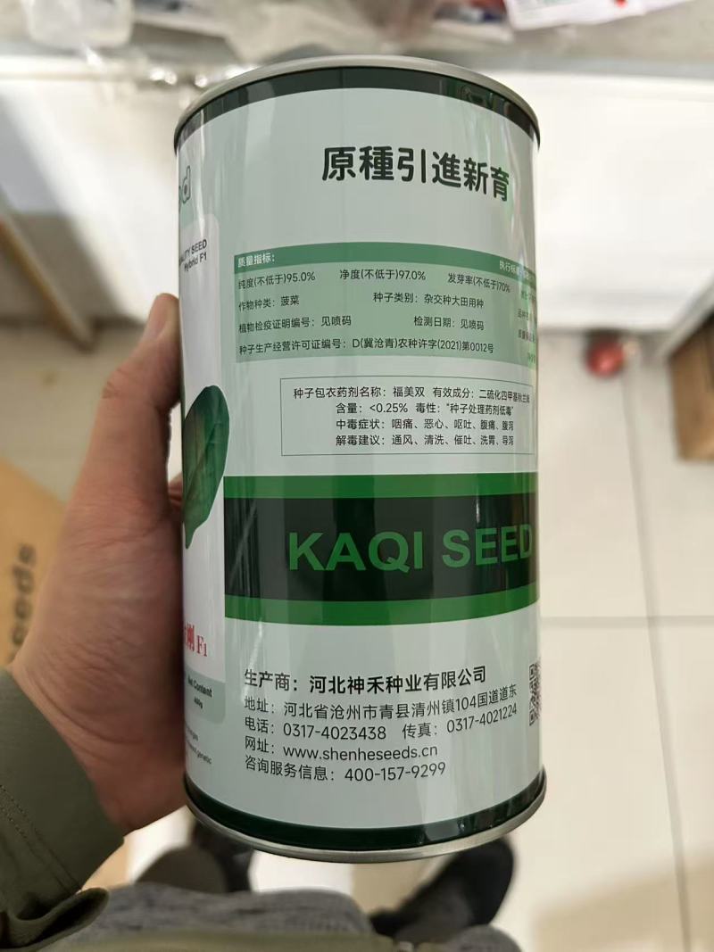 菠菜种子春秋菠菜种子叶片宽大肥厚耐寒耐热菠菜种子