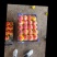 河北饶阳绿化九大量上市大量现货代收代销
