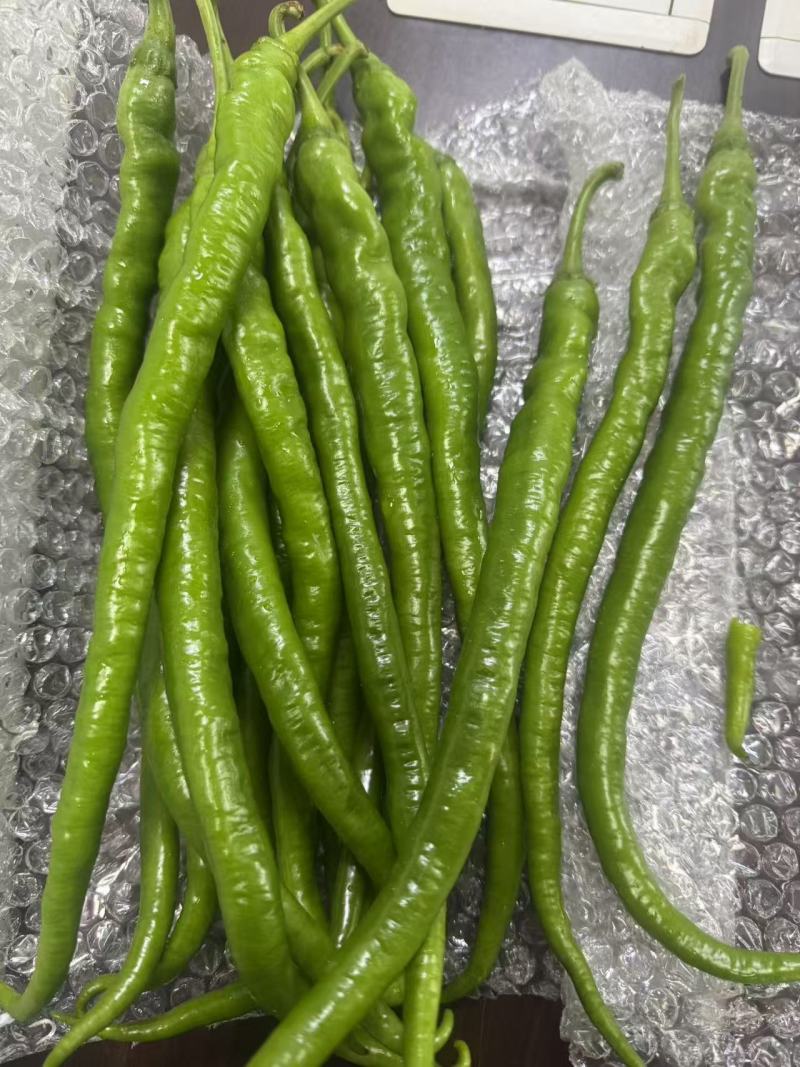 新鲜二荆条