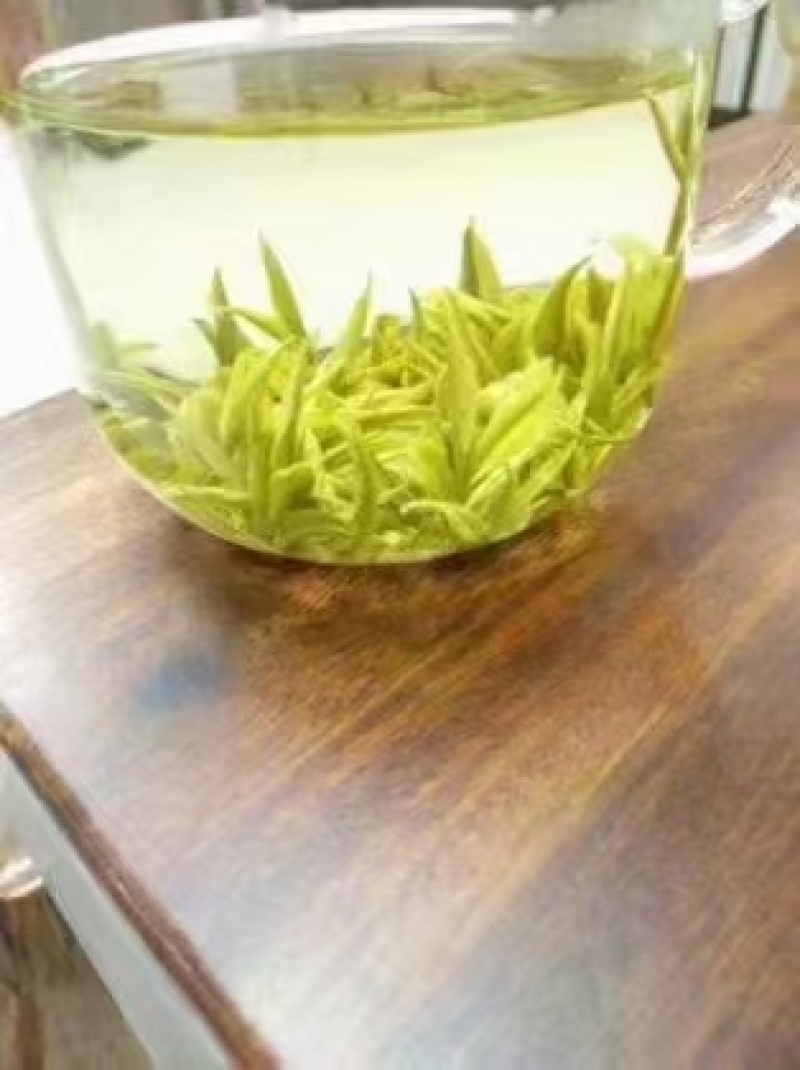 安吉白茶