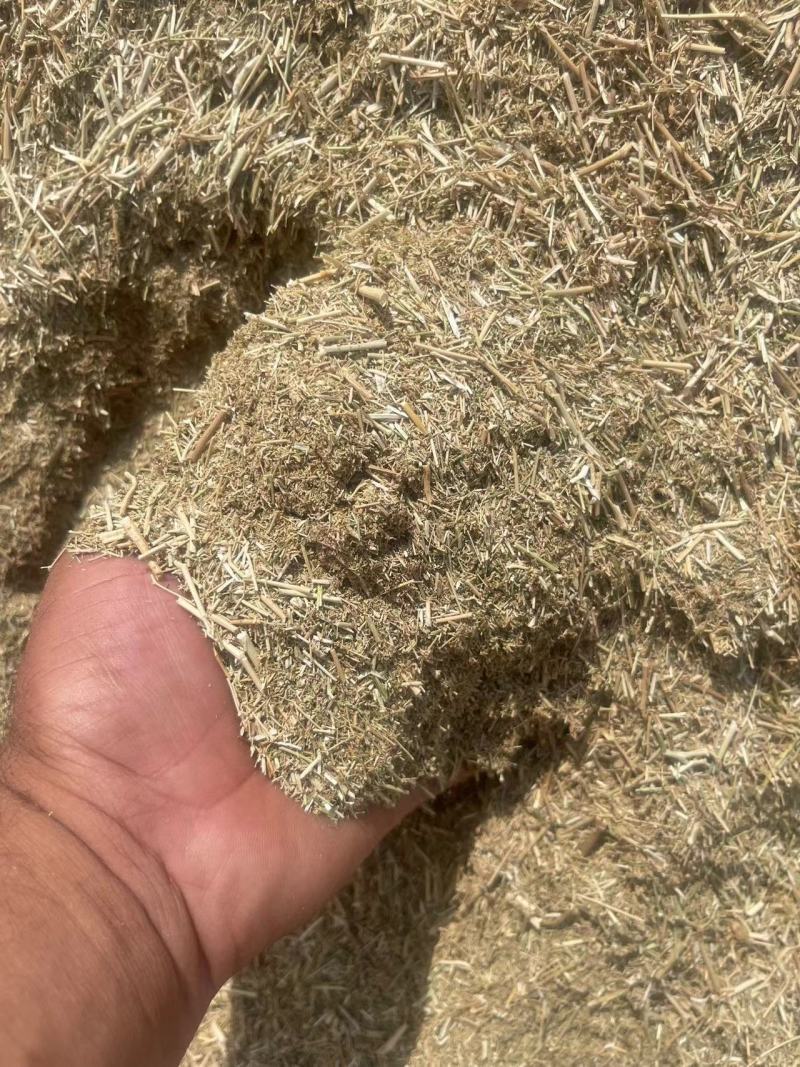 阿克苏的孜然杆子孜然秸秆厂家直供量大从优欢迎联系