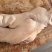 猪头肉核桃肉无耳头