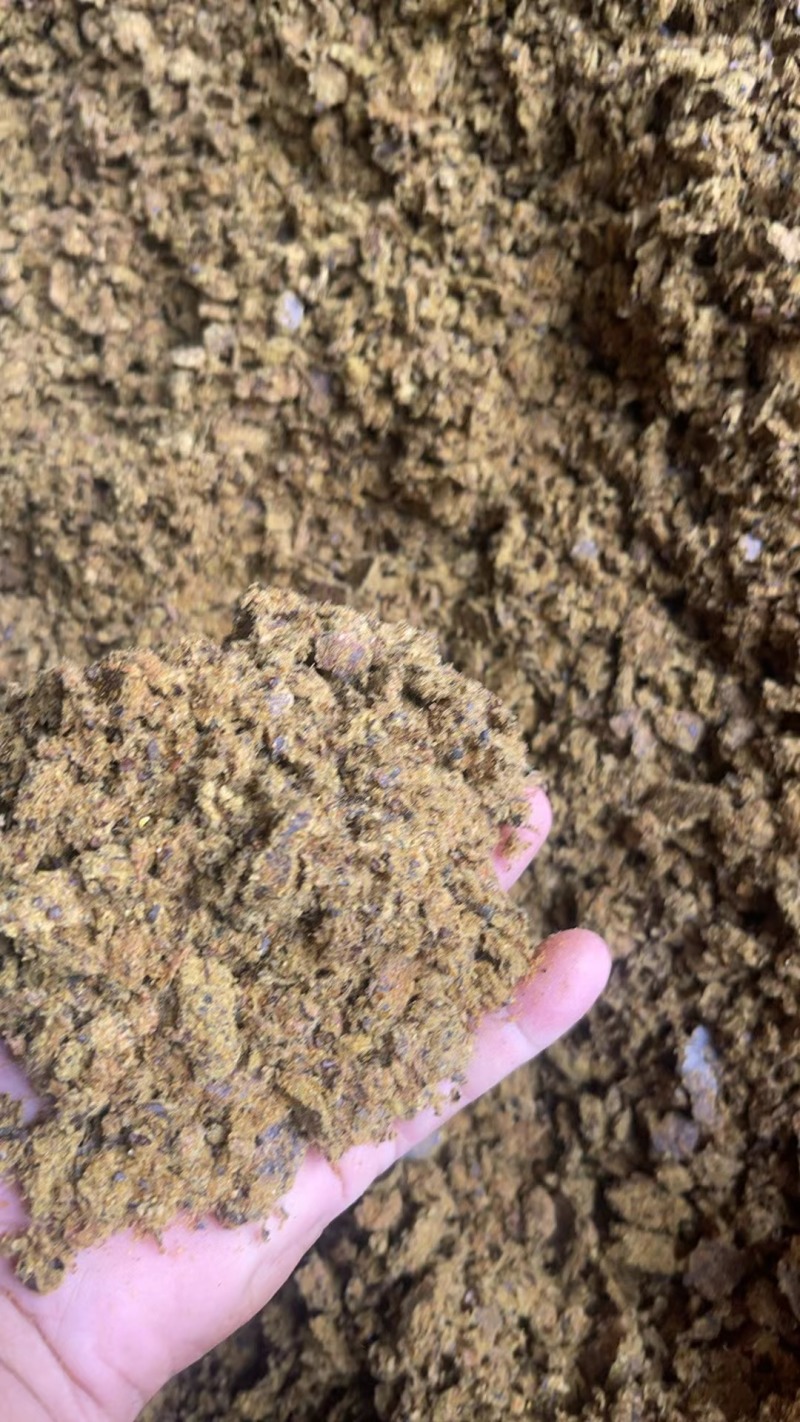 新疆阿克苏棉籽饼饼粕原料自家工厂货源充足实力代发