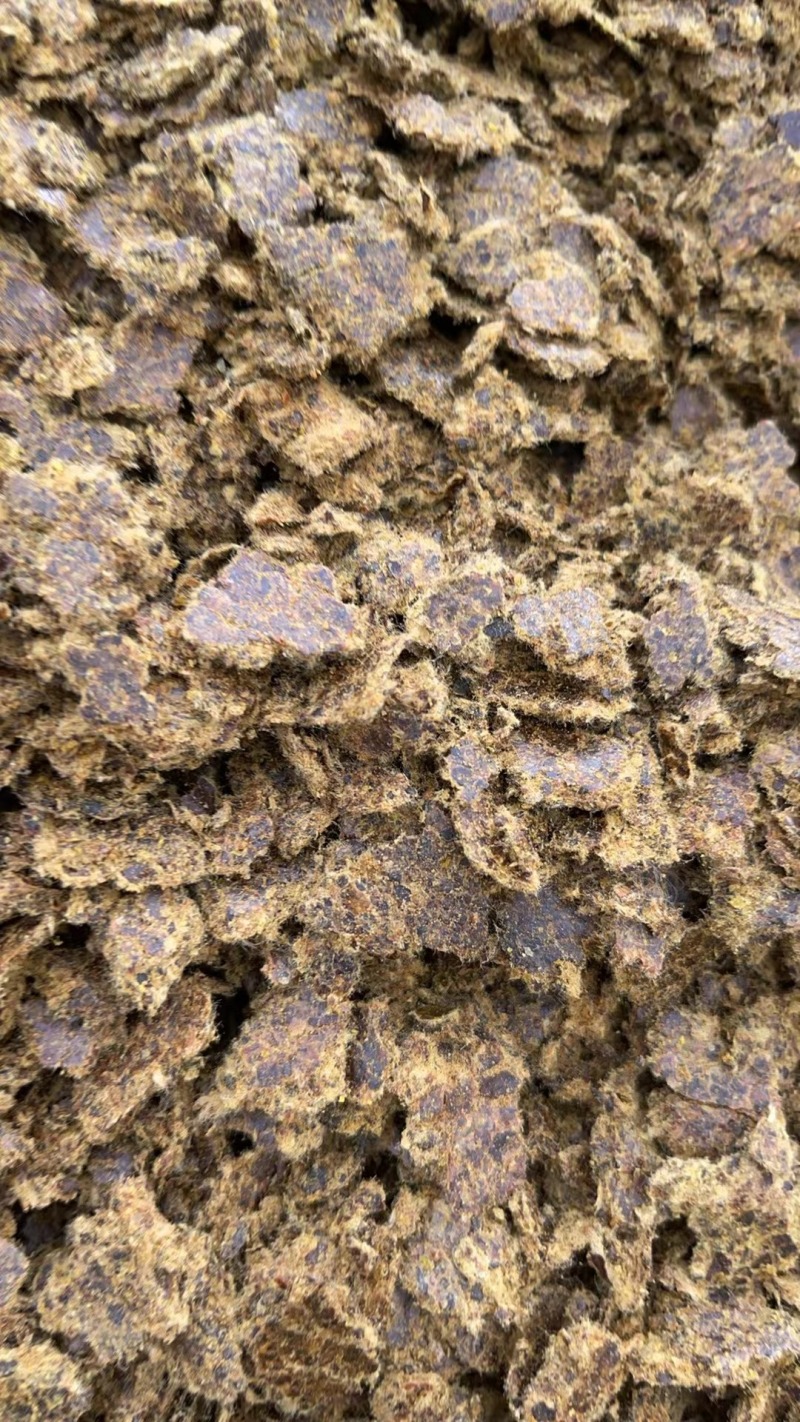 新疆阿克苏棉籽饼饼粕原料自家工厂货源充足实力代发