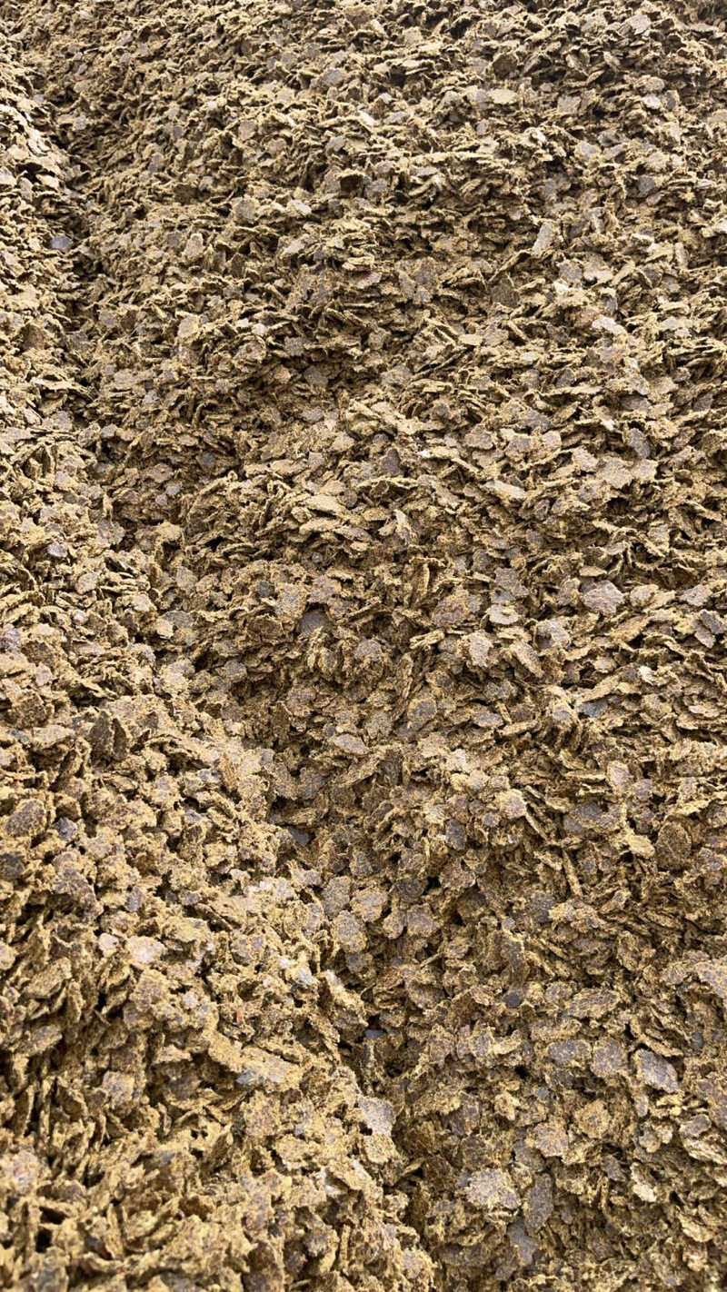 新疆阿克苏棉籽饼饼粕原料自家工厂货源充足实力代发