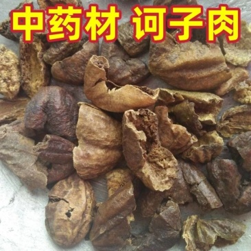 诃子各种规格齐全诃子肉批发零售量大优惠