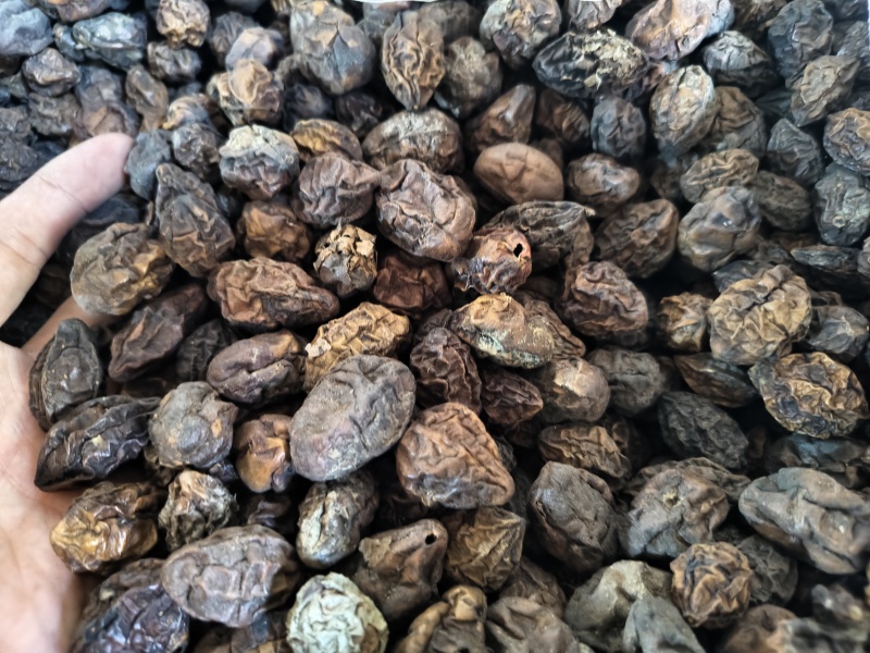 诃子各种规格齐全诃子肉批发零售量大优惠