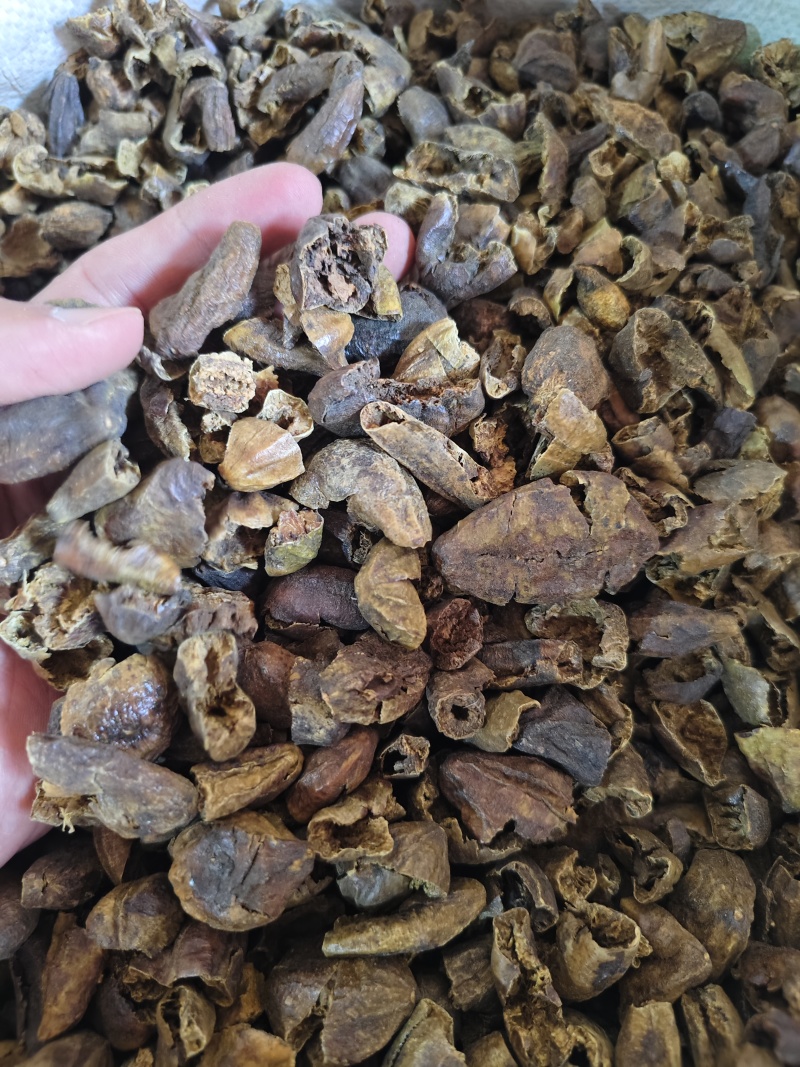诃子各种规格齐全诃子肉批发零售量大优惠