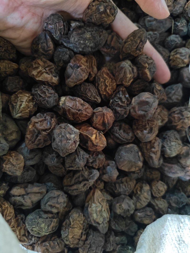 诃子各种规格齐全诃子肉批发零售量大优惠