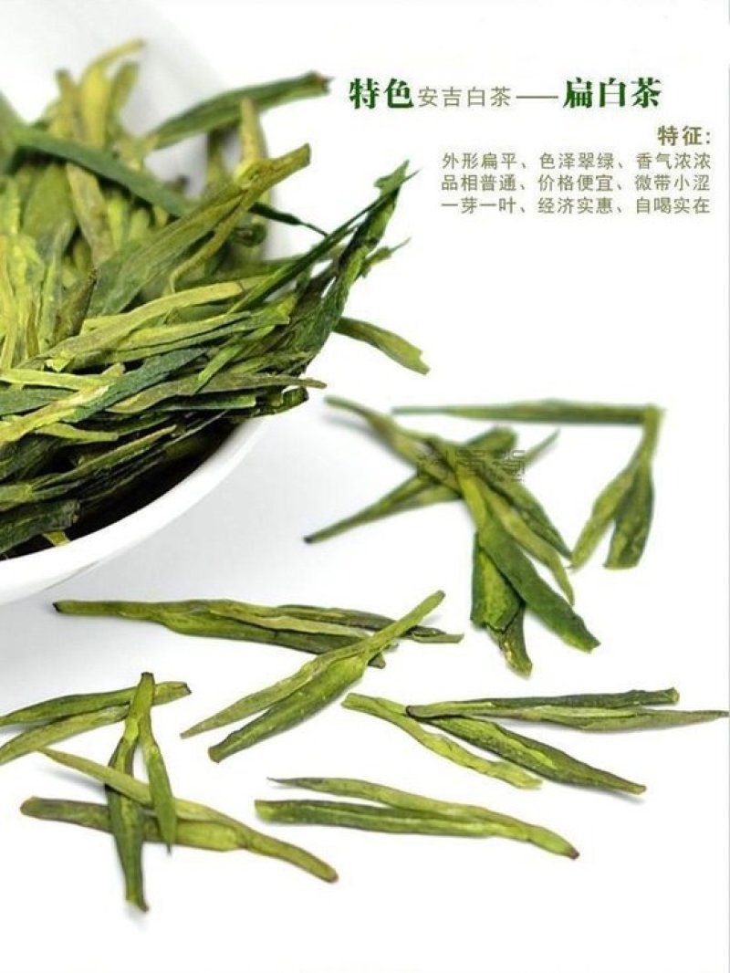 安吉白茶