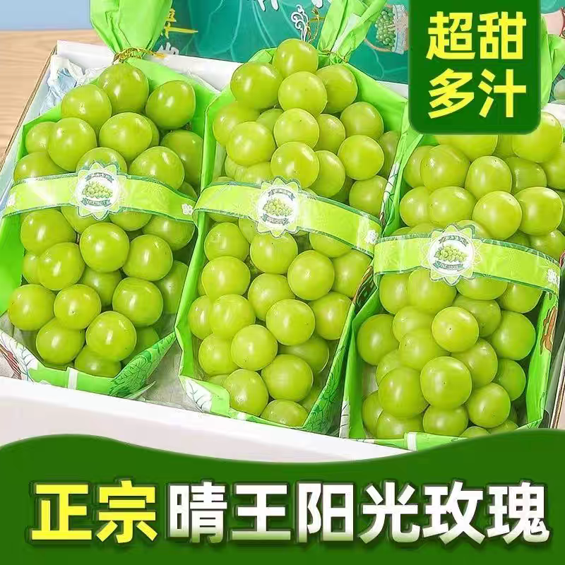《阳光玫瑰》陕西葡萄/产地直发/电商直播/市场批发