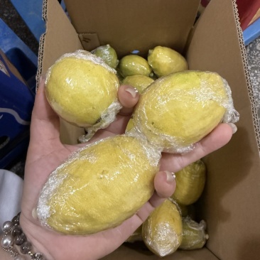 香水柠檬黄果黄柠檬