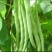【精选】高山四季豆无筋豆架豆王豆角基地直供