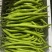 恩施富硒线椒、菜椒