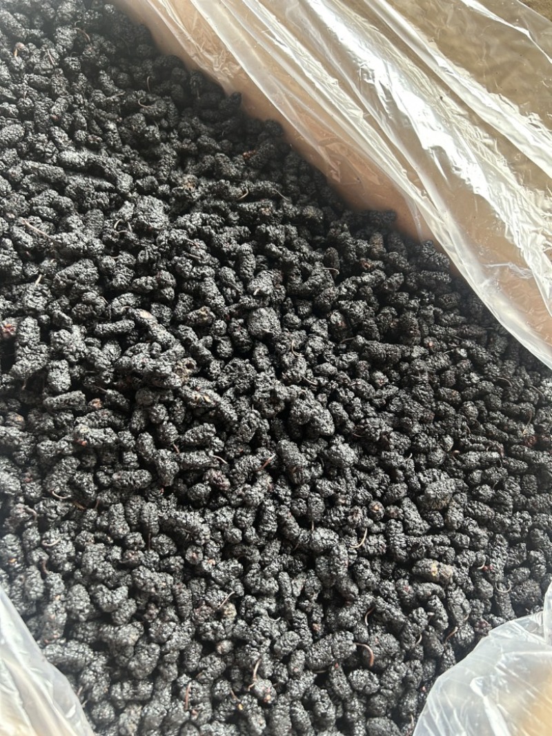 桑椹桑椹干颗粒饱满货干一件14公斤