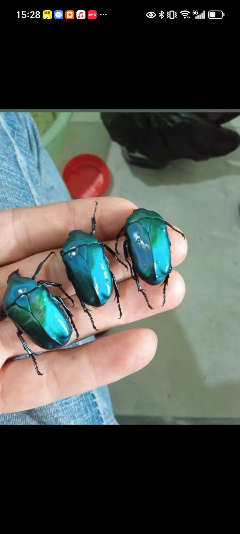 蓝宝石标本