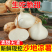 豆薯/凉薯、对接电商/加工厂/商超/万亩基地/全国批发