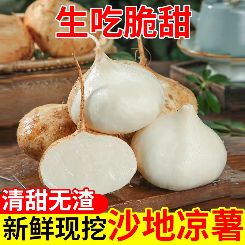 豆薯/凉薯、对接电商/加工厂/商超/万亩基地/全国批发