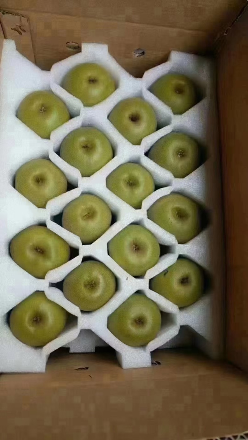 凤凰县红心猕猴桃支持一件代发
