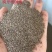 狗牙根草坪草籽护坡狗牙根耐旱耐热耐踏固土地毯草庭院绿化