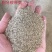 狗牙根草坪草籽护坡狗牙根耐旱耐热耐踏固土地毯草庭院绿化