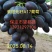 A17紫甜无核葡萄