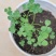 三叶草草籽种子绿化易活多年生草坪牧草果园绿肥四季青白三叶