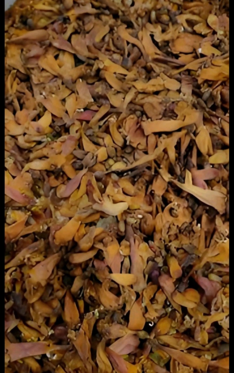 凌霄花干