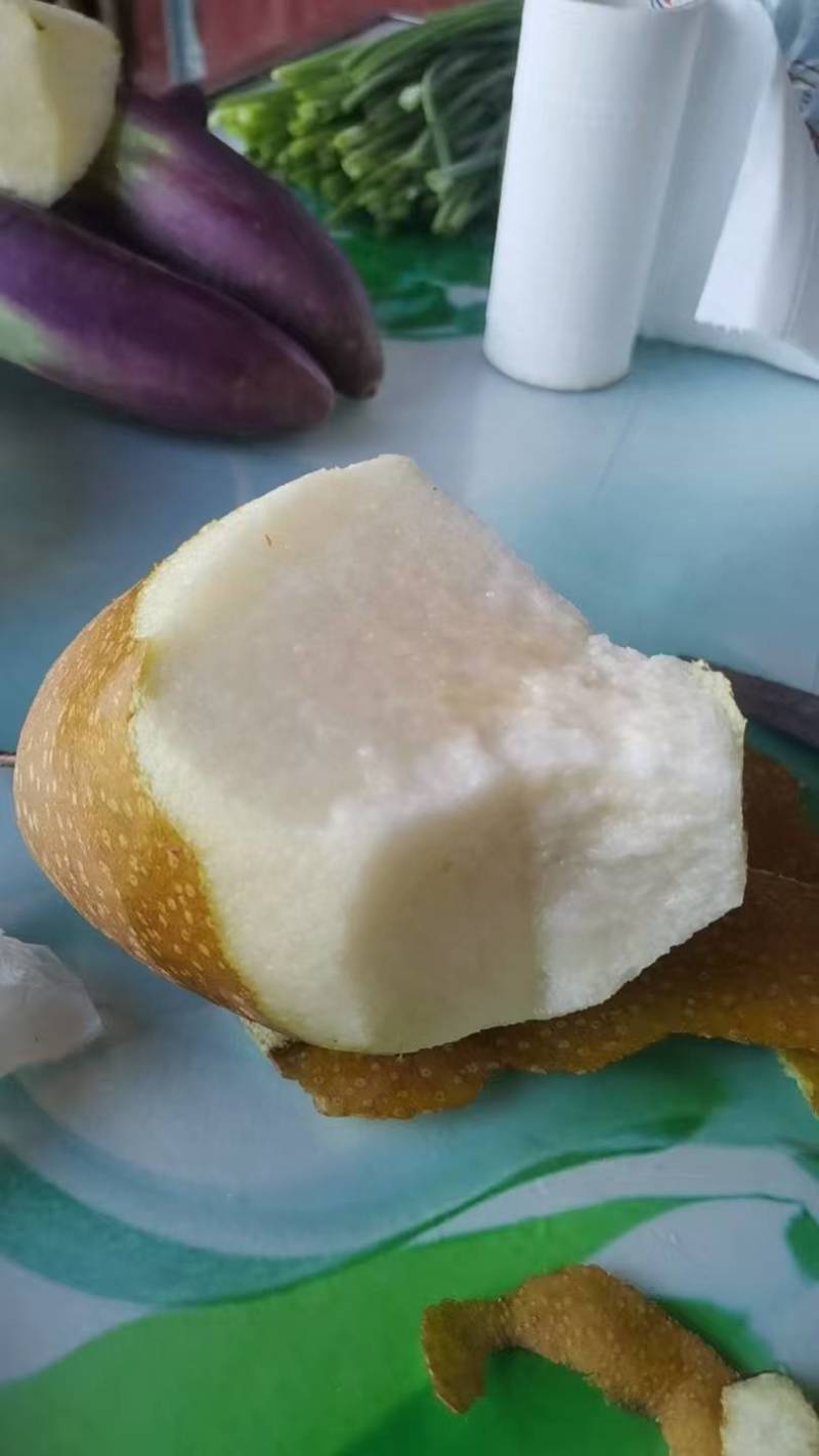 苍溪雪梨批发出售