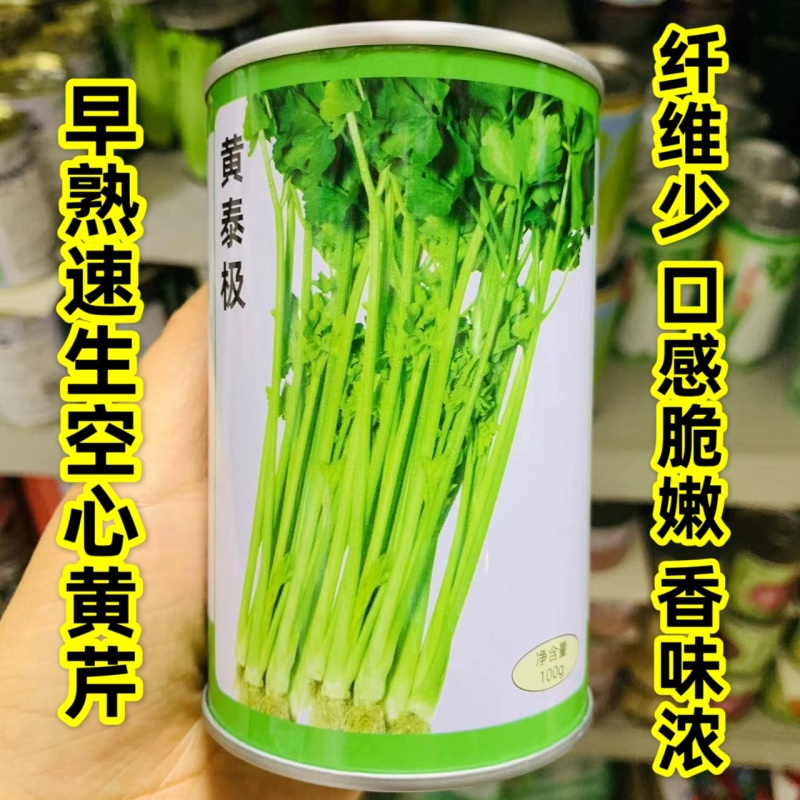 天津科润黄泰极空心芹种子早熟速生空心黄心芹菜种子脆嫩味浓