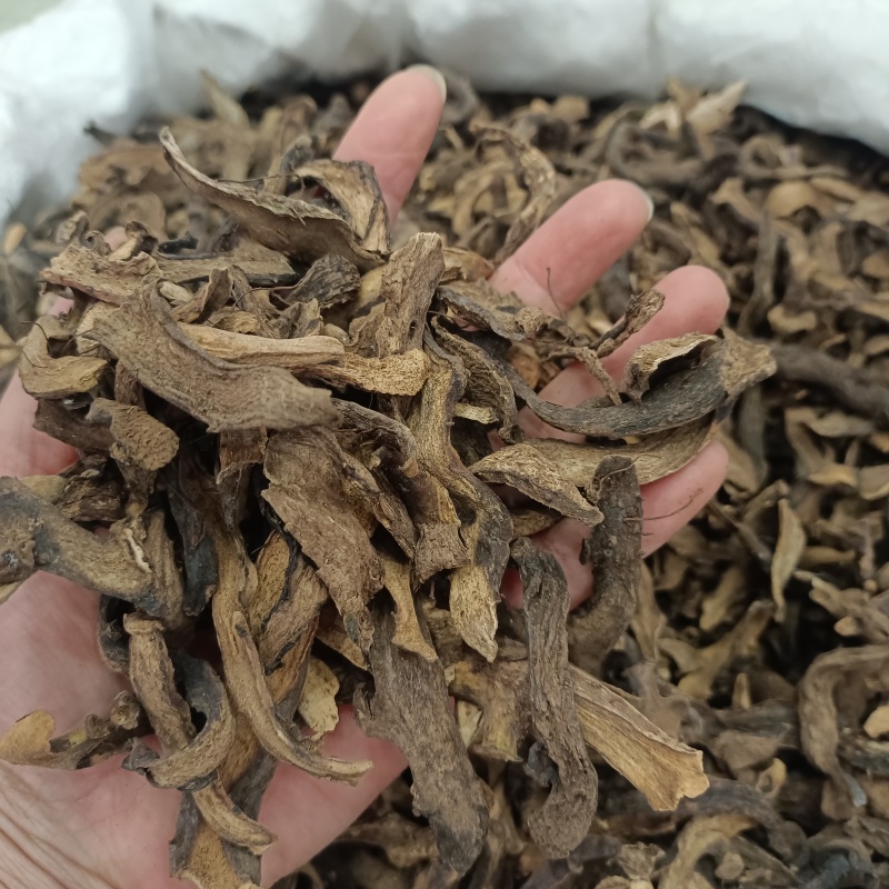 骨碎补崖姜岩连姜爬岩姜毛姜肉碎补