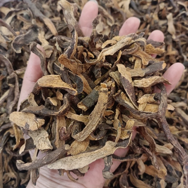 骨碎补崖姜岩连姜爬岩姜毛姜肉碎补