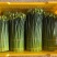 韭菜花20亩新菜上市