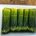 韭菜花20亩新菜上市