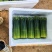 韭菜花20亩新菜上市