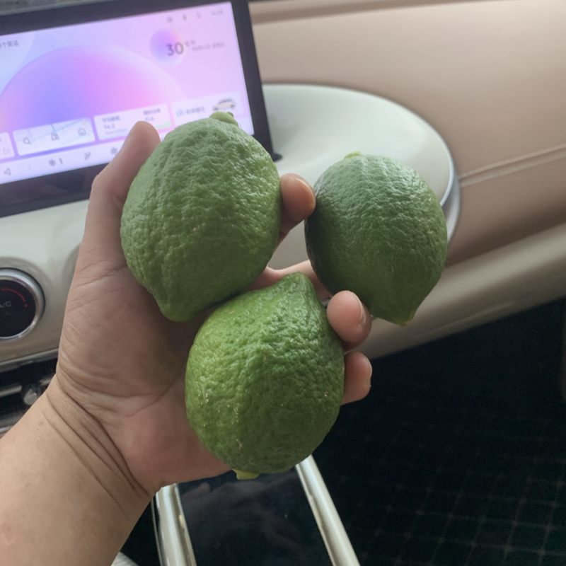 广东香水柠檬批发