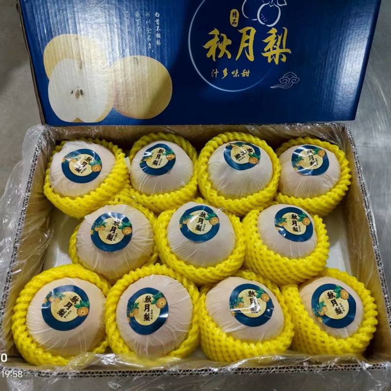 大量供应秋月梨/秋月梨种植基地-承接各种礼盒包装一件代发