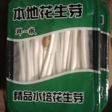 重庆有机水培花生芽脆嫩爽质量保障产地直销欢迎订购